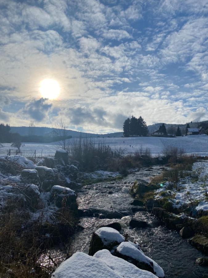 Gite Au Cours D'Eau Le Hohwald Eksteriør bilde